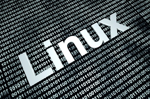  Top Vulnerabilities exploited to Hack Linux Systems